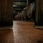 Nocleg ze śniadaniem Weingut Tiliahof 3*