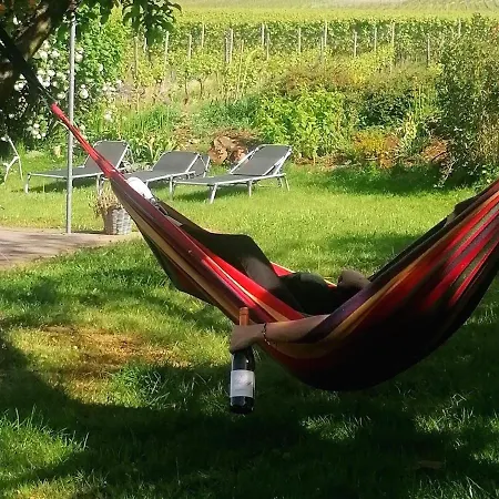 Bed & Breakfast Weingut Tiliahof