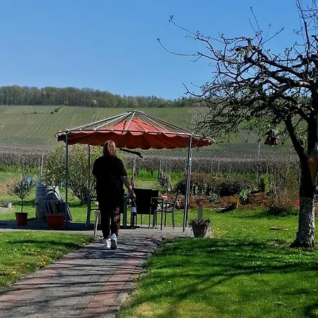 Weingut Tiliahof 3* בראונברג