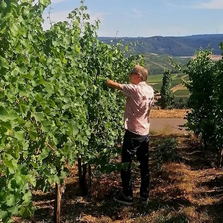 Weingut Tiliahof Oda ve Kahvaltı Brauneberg