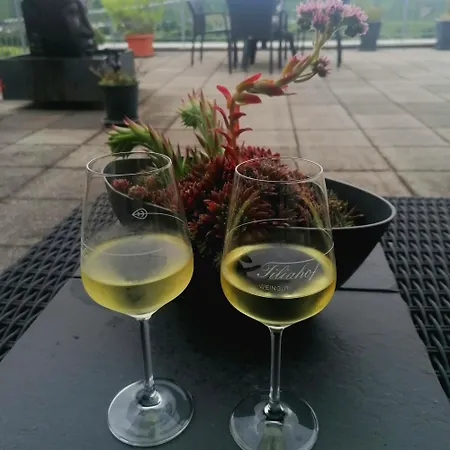 Weingut Tiliahof 3*