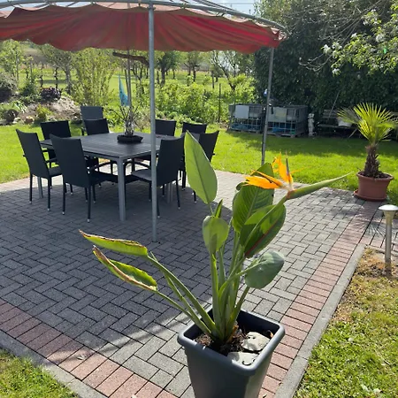 Weingut Tiliahof Brauneberg