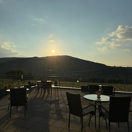 Weingut Tiliahof