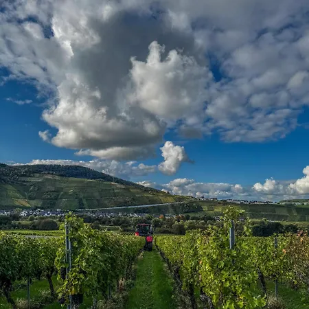 Nocleg ze śniadaniem Weingut Tiliahof