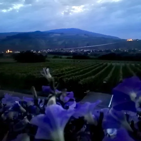 Weingut Tiliahof Nocleg ze śniadaniem