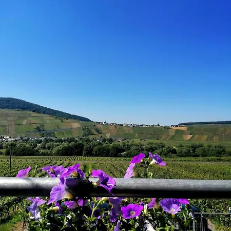 Weingut Tiliahof Nocleg ze śniadaniem 3*