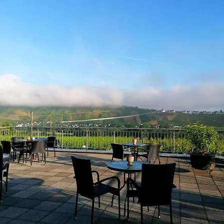 Weingut Tiliahof לינה וארוחת בוקר בראונברג