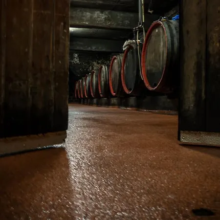 לינה וארוחת בוקר Weingut Tiliahof 3*