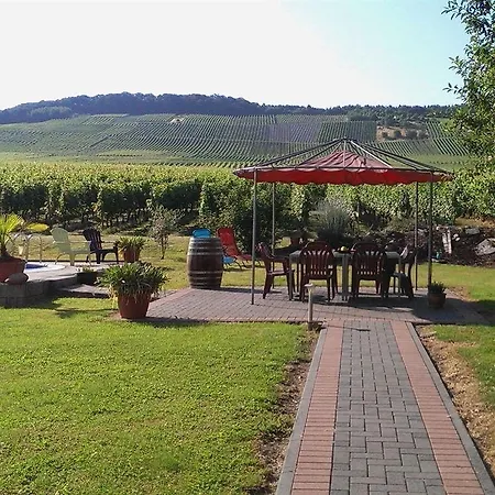 Weingut Tiliahof