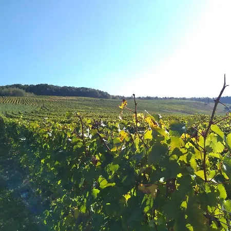 Weingut Tiliahof Bed & Breakfast 3*