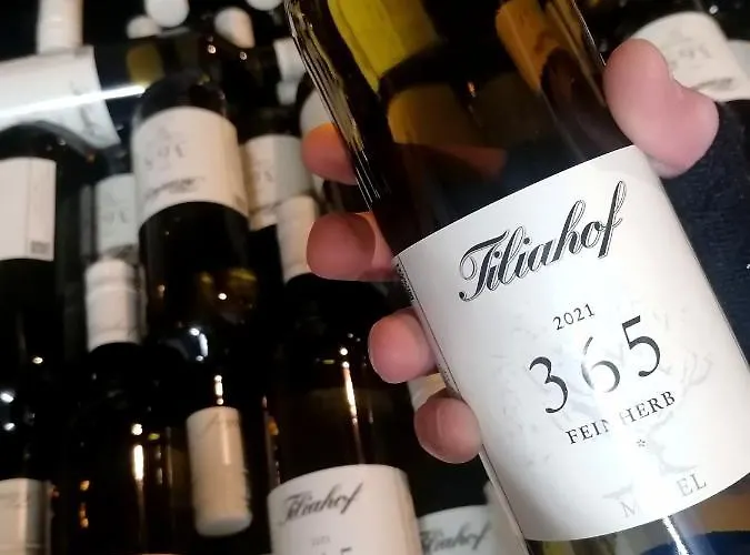 Nocleg ze śniadaniem Weingut Tiliahof Brauneberg