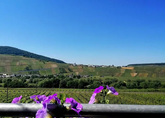 Weingut Tiliahof Nocleg ze śniadaniem 3*