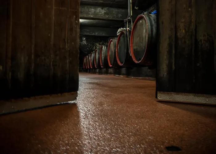 Nocleg ze śniadaniem Weingut Tiliahof 3*